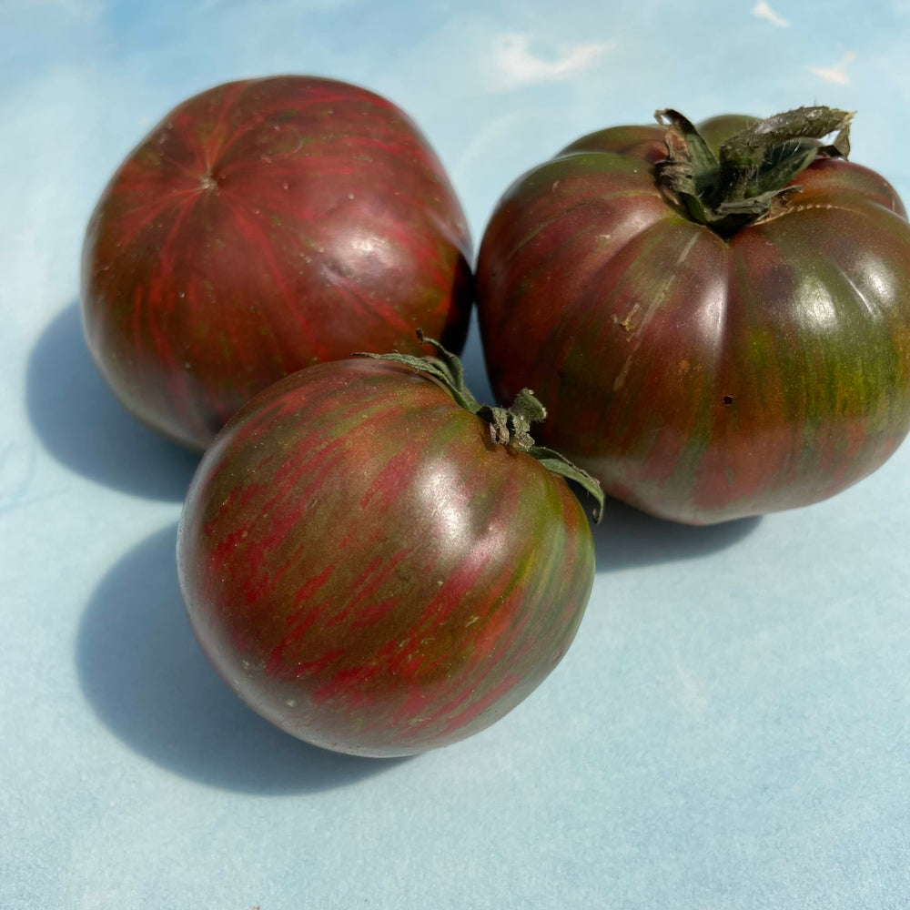 Berkeley Pink Tie Dye Tomato – Hudson Valley Seed Company