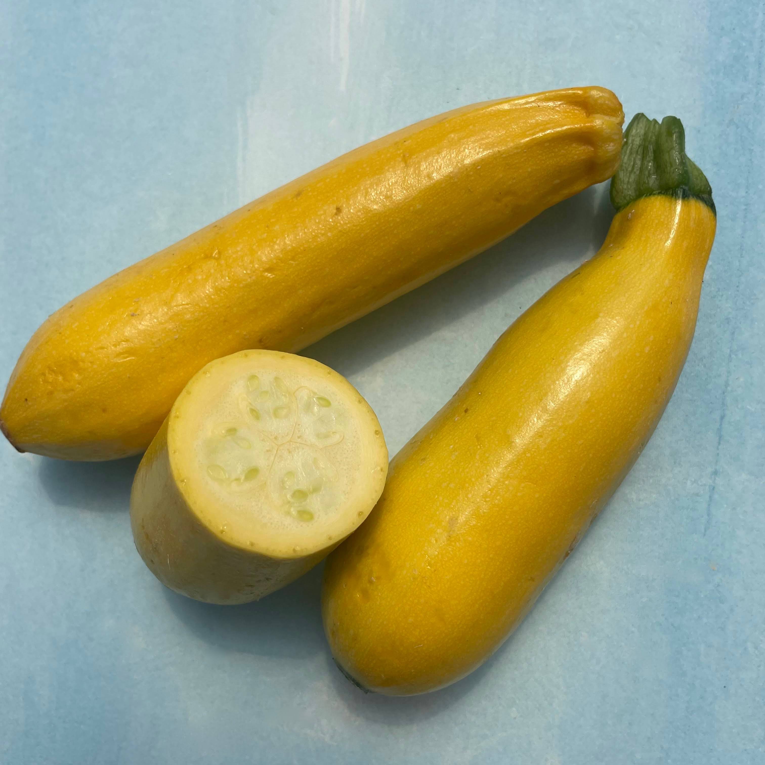 Golden Zucchini Organic Seeds – Hudson Valley Seed Company