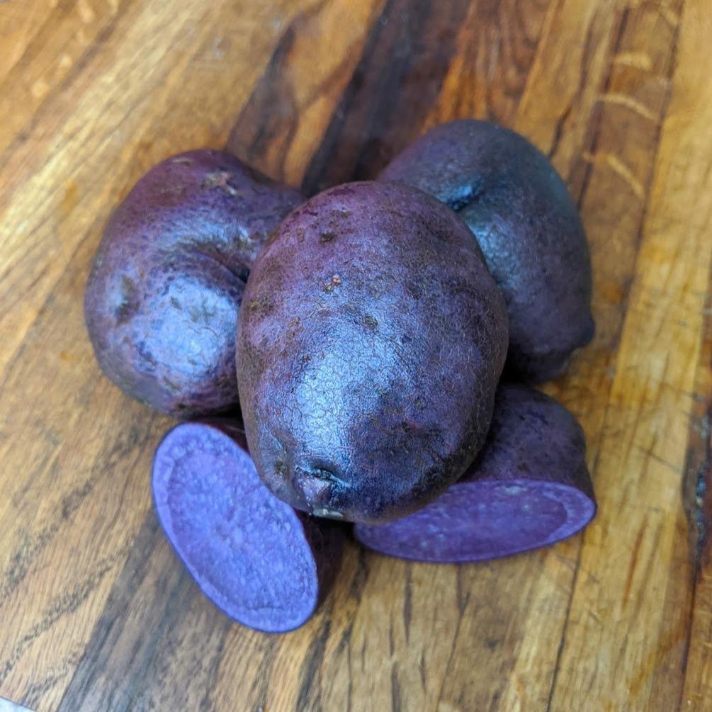 Adirondack Blue Potato – Hudson Valley Seed Company