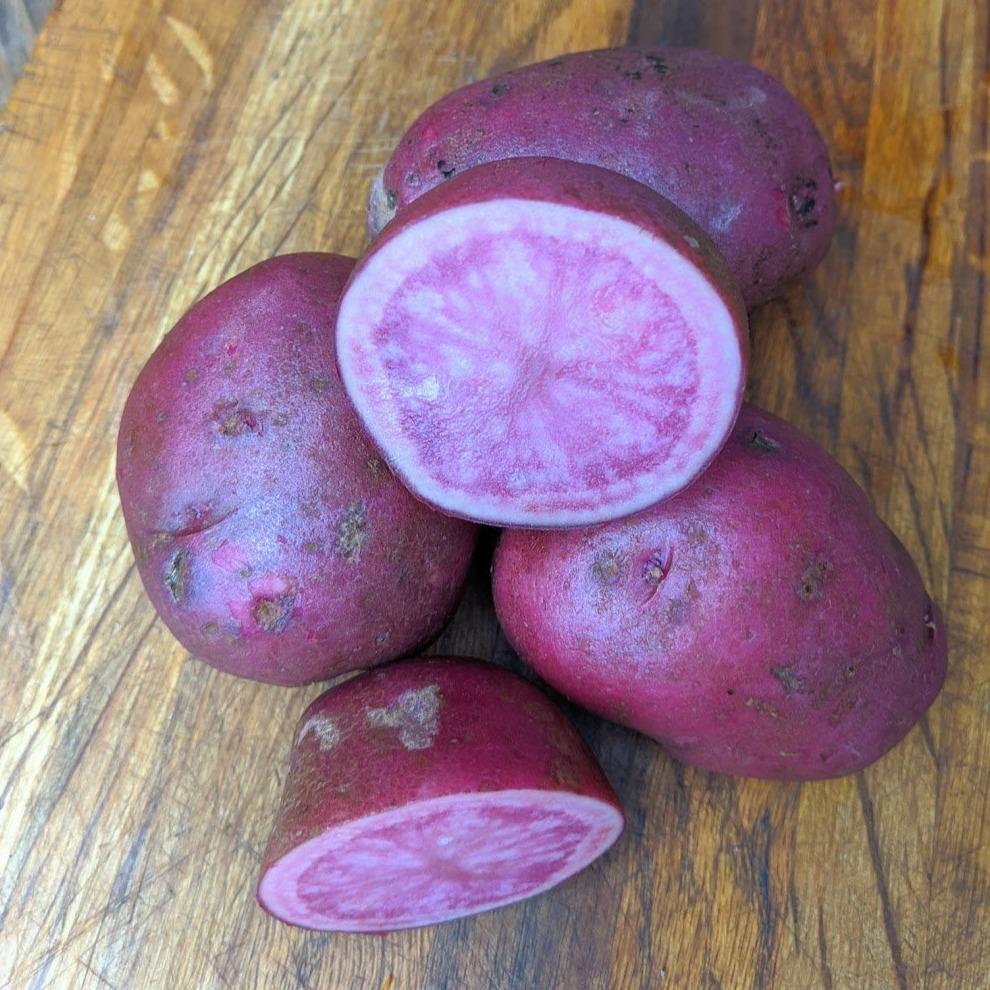 Adirondack Red Potato Organic Tubers Hudson Valley Seed Company   Adirondack Red Potato Vendor Unknown 1630682165 