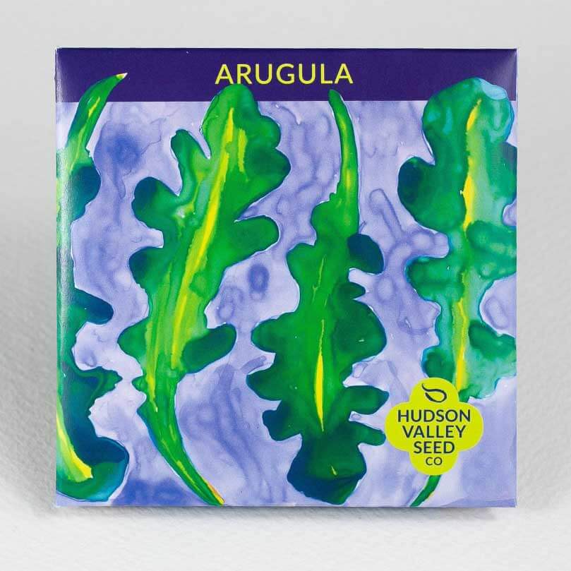 Arugula Organic Seeds Hudson Valley Seed Company   ArugulaArtPack E67a3c01 Ef7f 4c0a A95c 20d77b5bbd37 1000x1000 