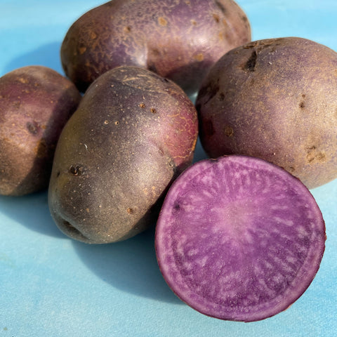 Adirondack Red Potato