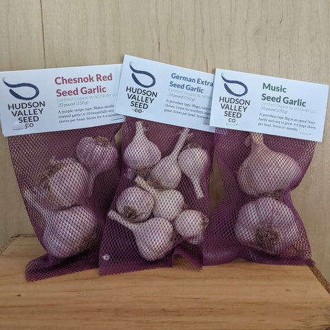 Red Shallots - Certified Organic - Fall Planting