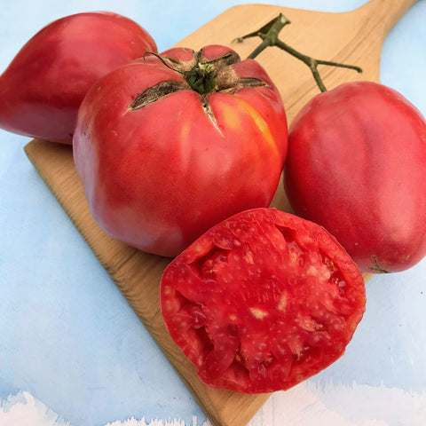 Tomato 'Heirloom Brandywine Pink' Seeds – D&H Seed Harvest Co