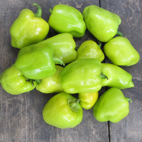 Lemon Drop Hot Pepper Organic Seeds – Hudson Valley Seed Company