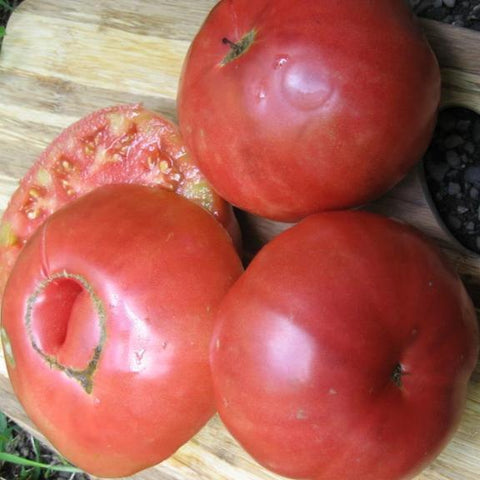 Tomato 'Heirloom Brandywine Pink' Seeds – D&H Seed Harvest Co