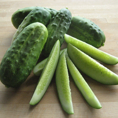 High Mowing Organic Seeds 2424-A Silver Slicer Cucumber Seed