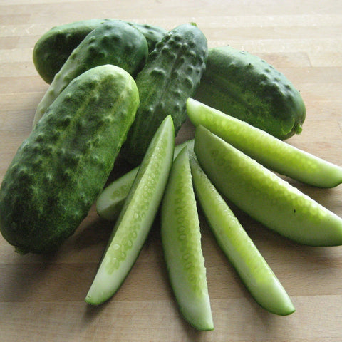 Organic Silver Slicer Cucumber - Fruition Seeds