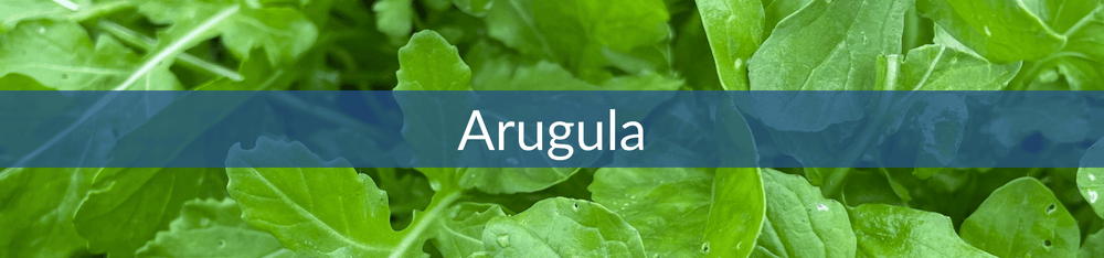 Arugula 1676396181432 1000x ?v=1676396182