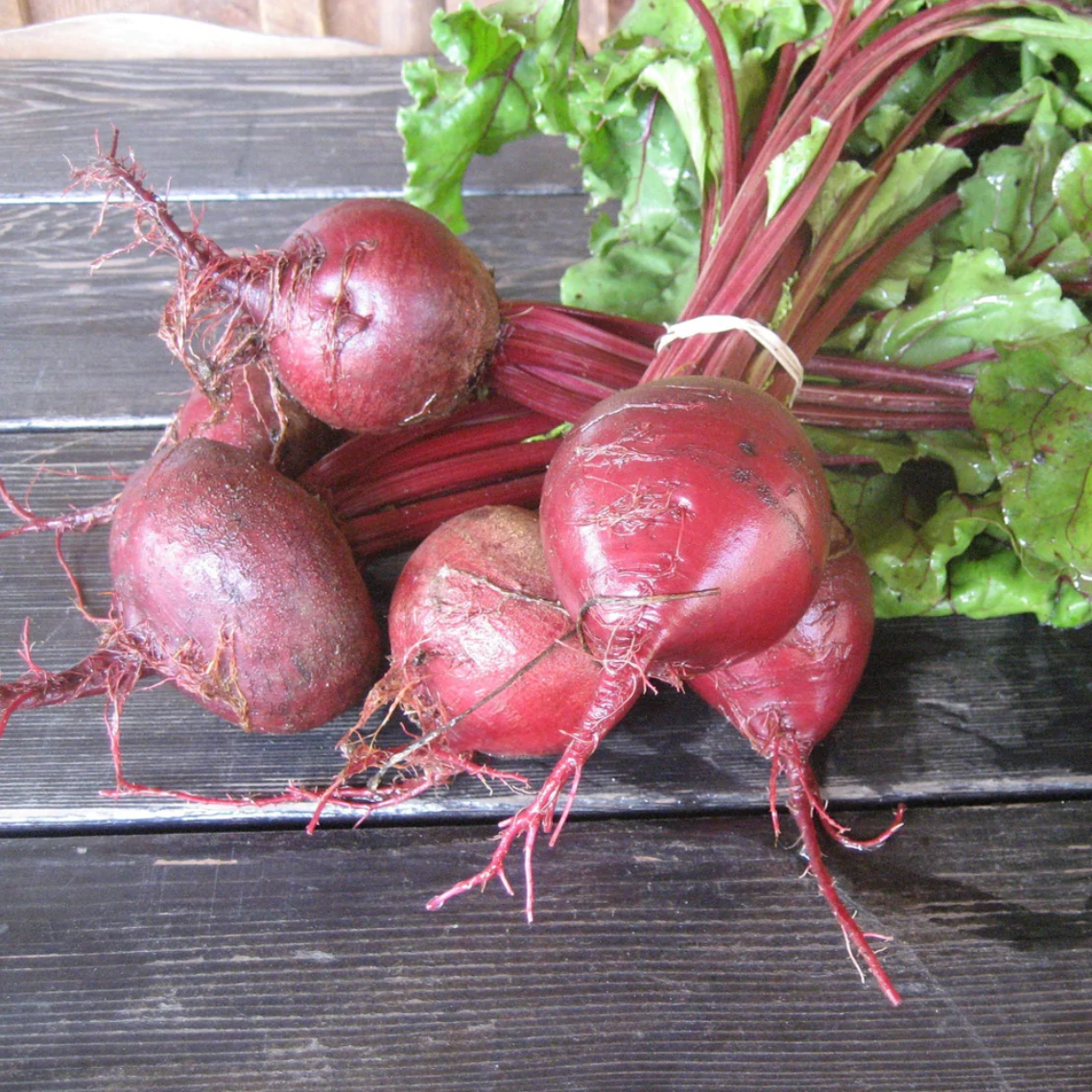 Early Wonder Tall Top Beet