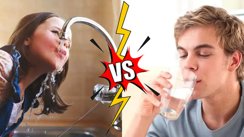 Tap Water vs. Distilled Water