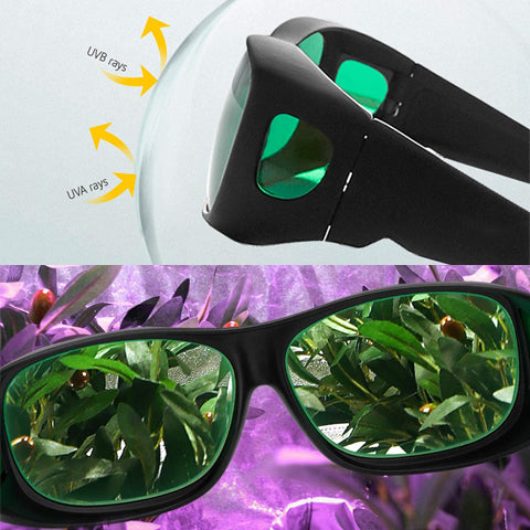 Grow Room Glasses