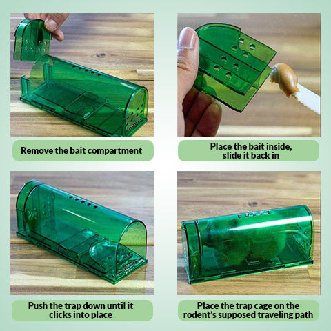 How Often Should You Change Mice Trap Bait? - Permakill Exterminating