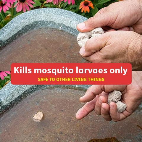 How to use Non-Toxic Mosquito Dunk