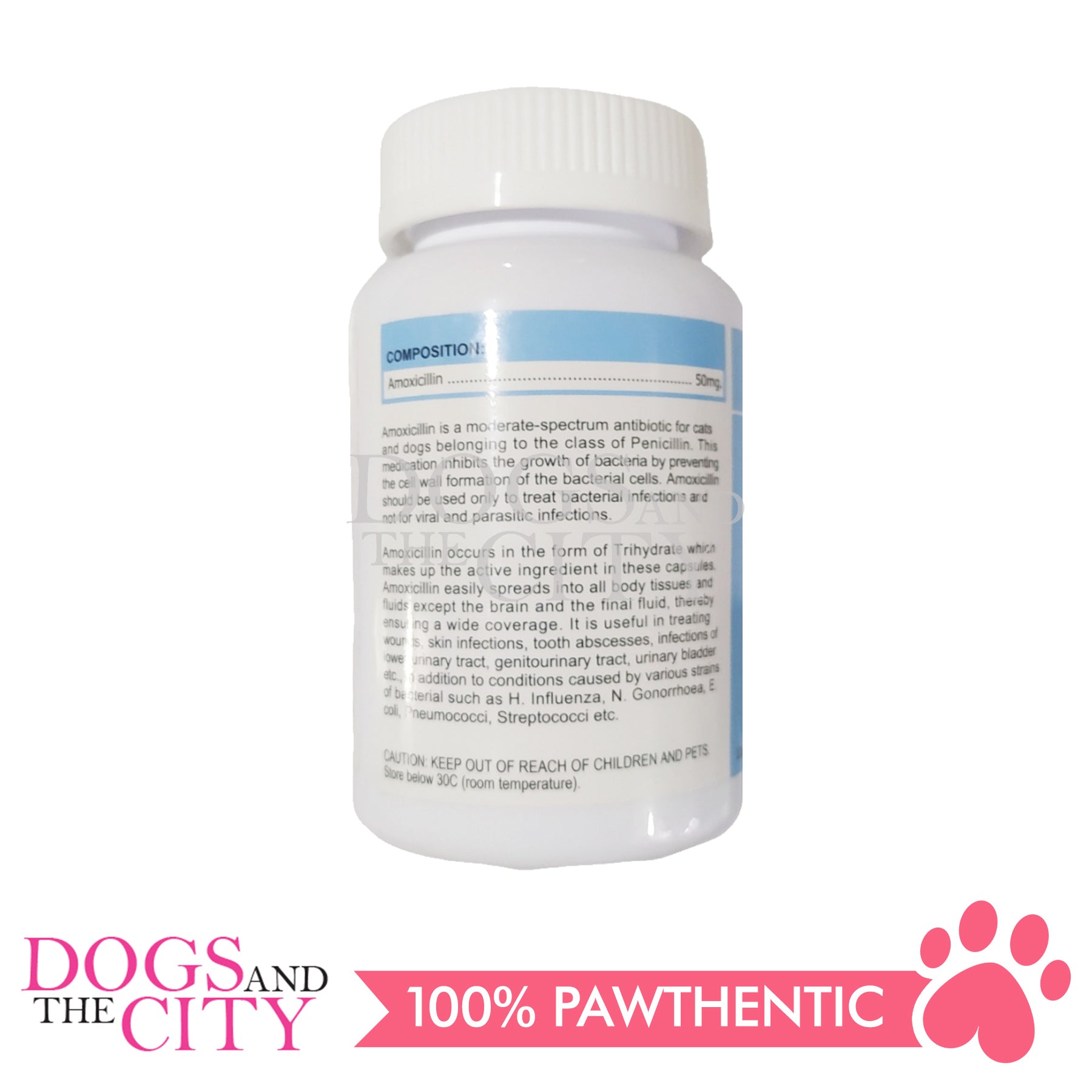 what does amoxicillin treat in dogs