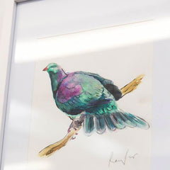 Kererū