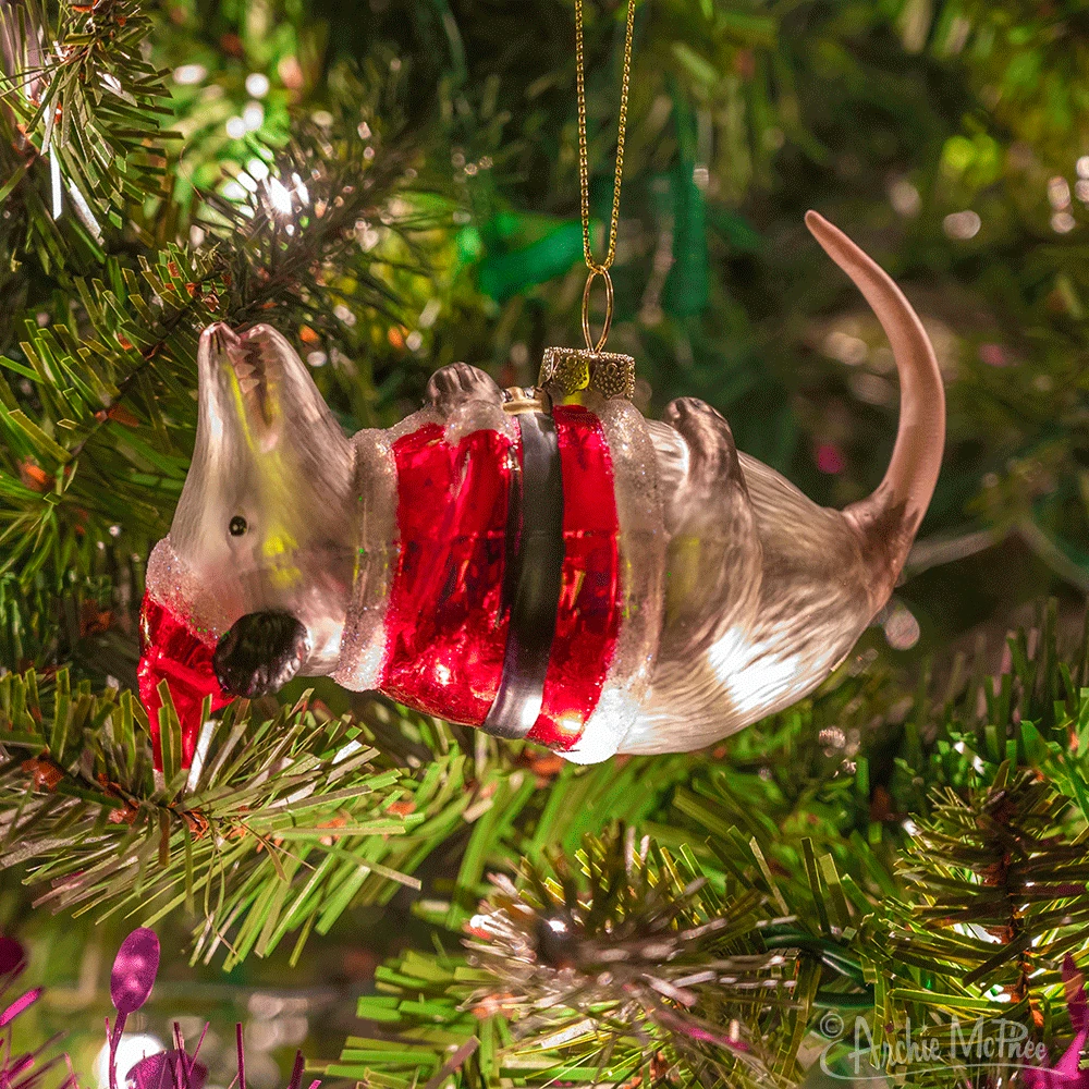 Squirrel in Underpants Hand-Blown Glass Ornament – Off the Wagon Shop