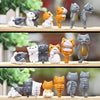 Cat Decorative Pieces (Set of 6)