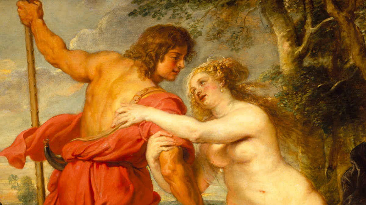 Рубенс Венера и адонис