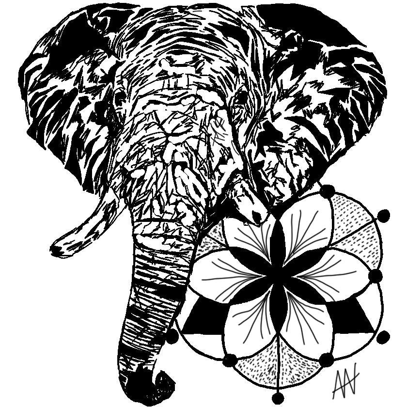 Elephant Print – Third Wolf - Alexa Varano