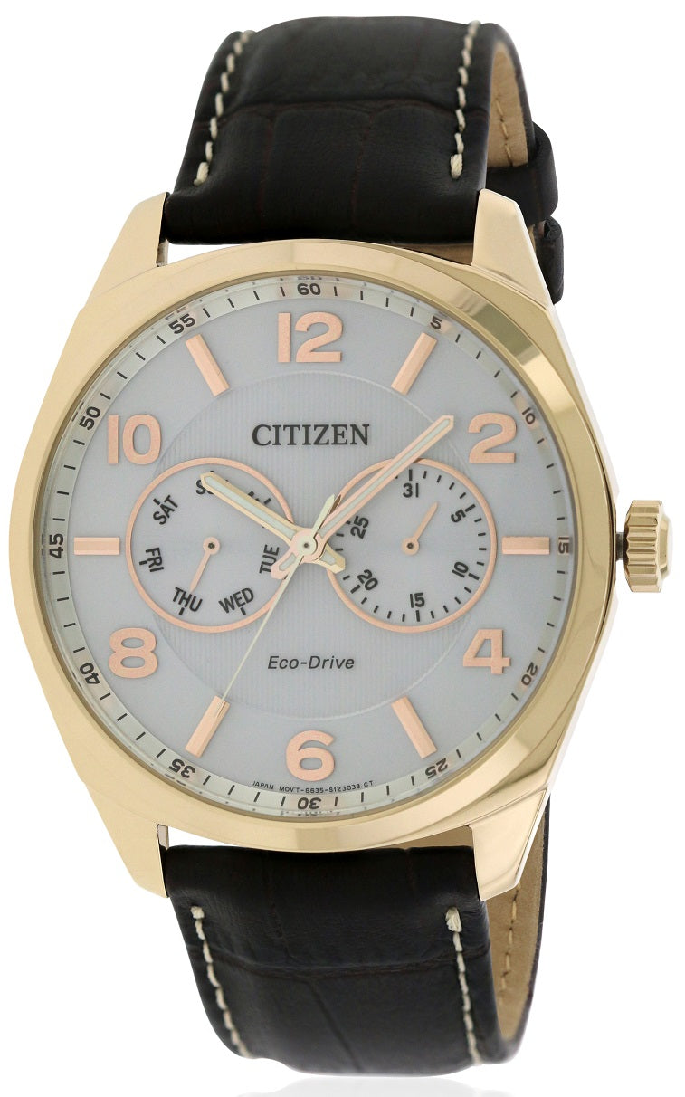 Citizen Eco-Drive Gold-Tone Leather Mens Watch