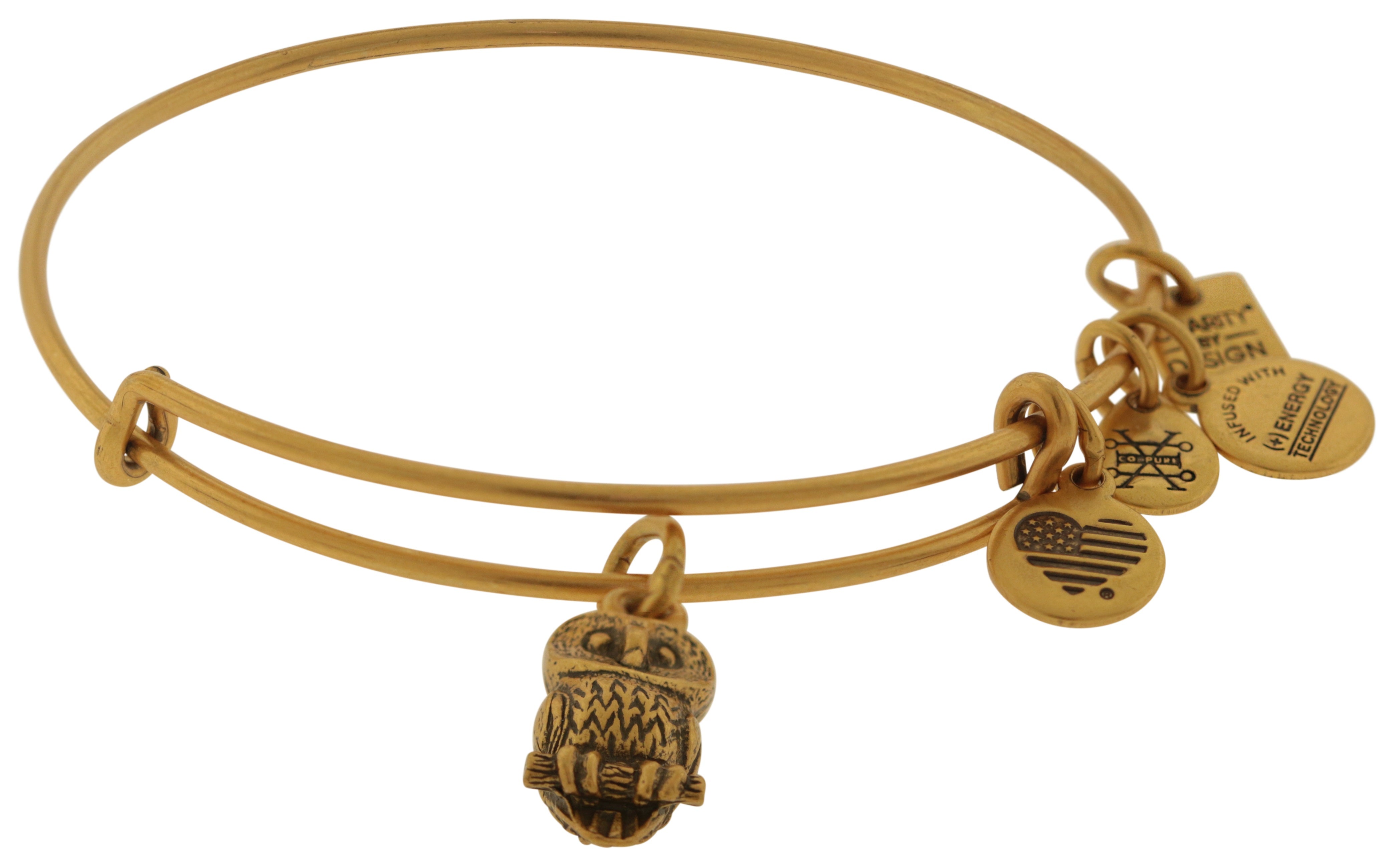 Alex and Ani Ode To The Owl Charm Bangle - Rafaelian Gold -