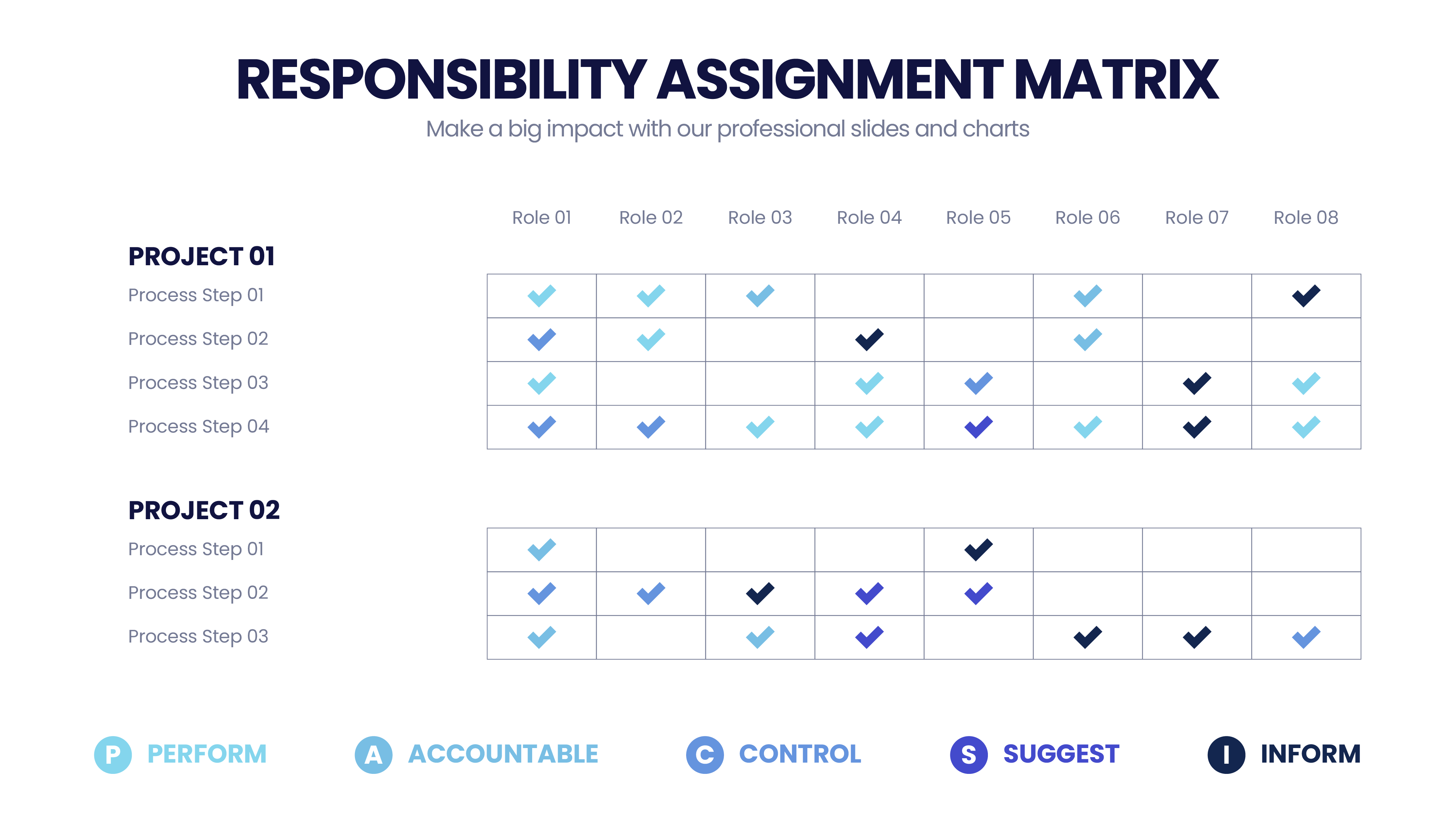 a responsibility assignment matrix is
