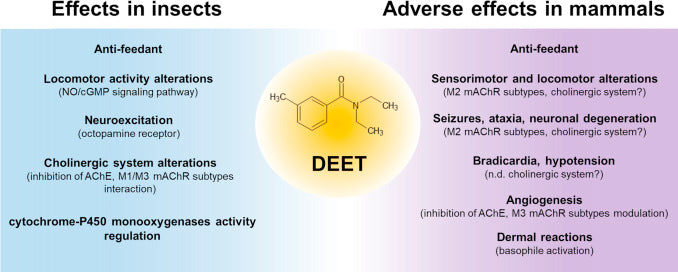 adverse effects deet