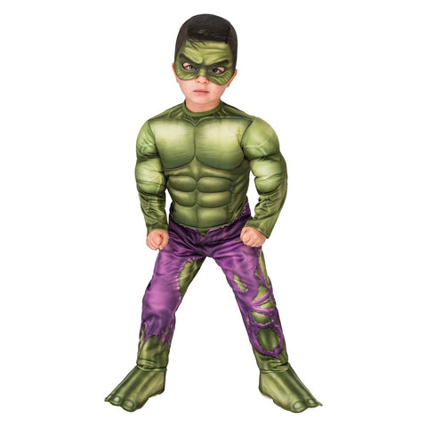 Avengers Hulk Costume