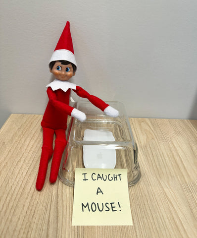 elf caught a mouse