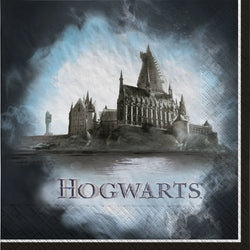 Harry Potter Anniversaire Fête Décorations Plaques Serviette Nappe  Halloween