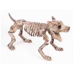 Europalms Halloween Skeleton Dog, 71x40x25cm