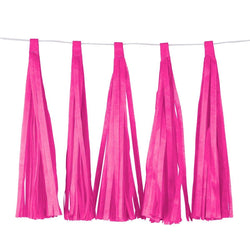 Hot Pink Tassel Garland