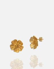 Women's Gold Stud Earrings at RM Kandy