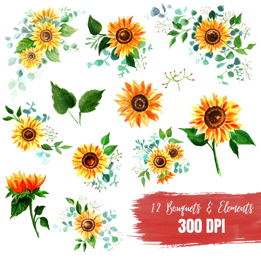 Download Sunflowers Watercolor clipart bundle for instant download ...