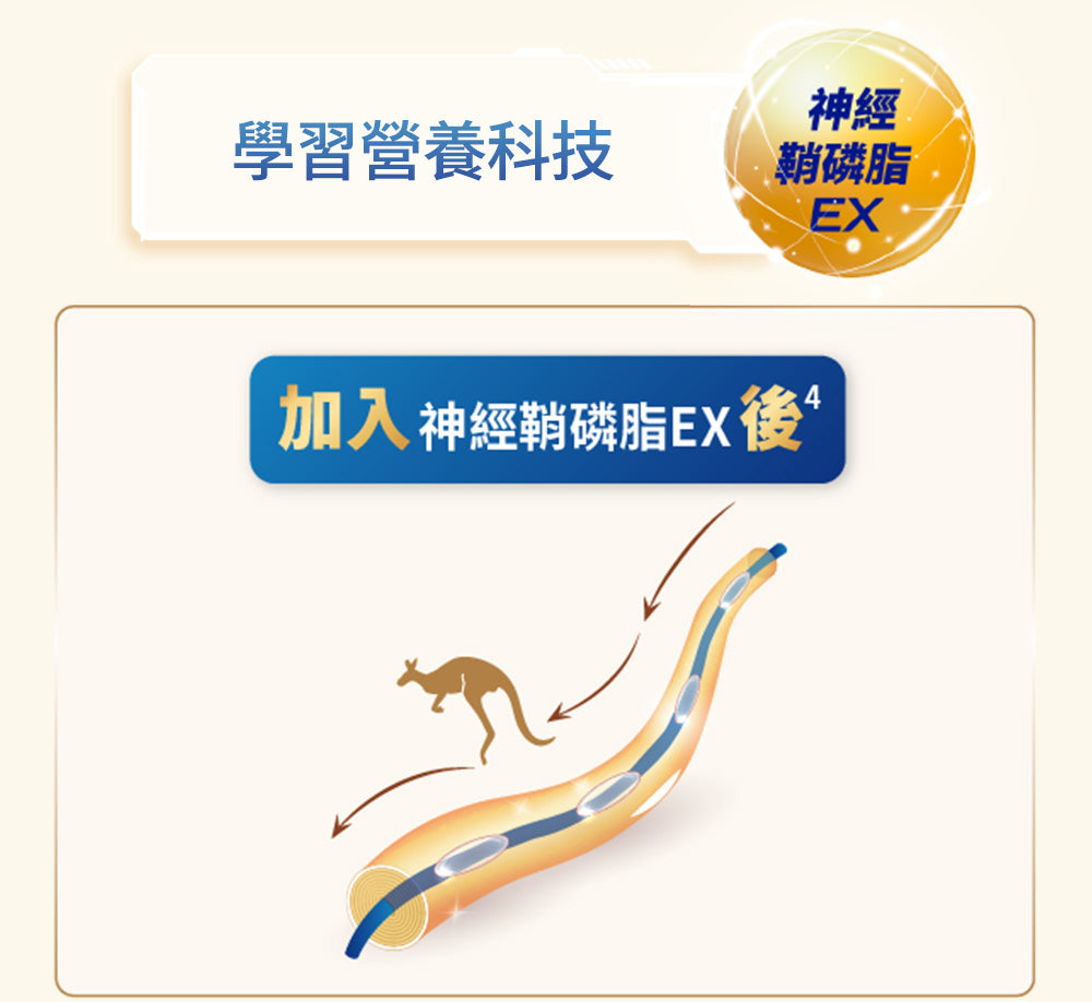 神經鞘磷脂EX，加速寶寶學習力，讓寶寶學得又快又好。