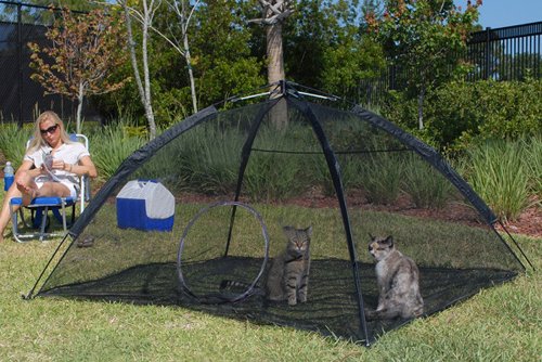 outback jack cat enclosure