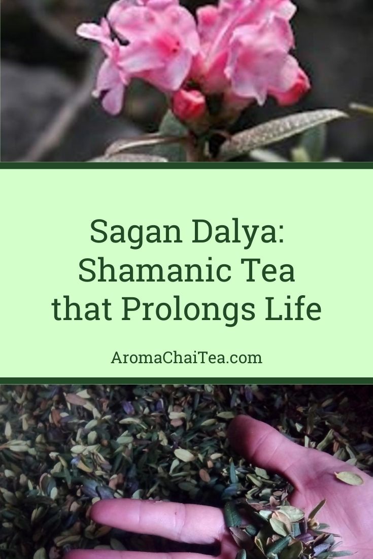 Health Benefits of Sagan Dalya