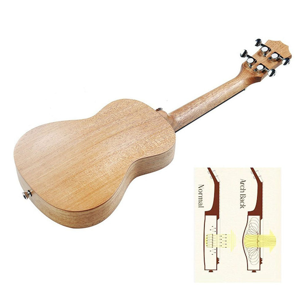 Concert Ukulele 23 Inch Mahogany Aquila Strings Beginner Kit