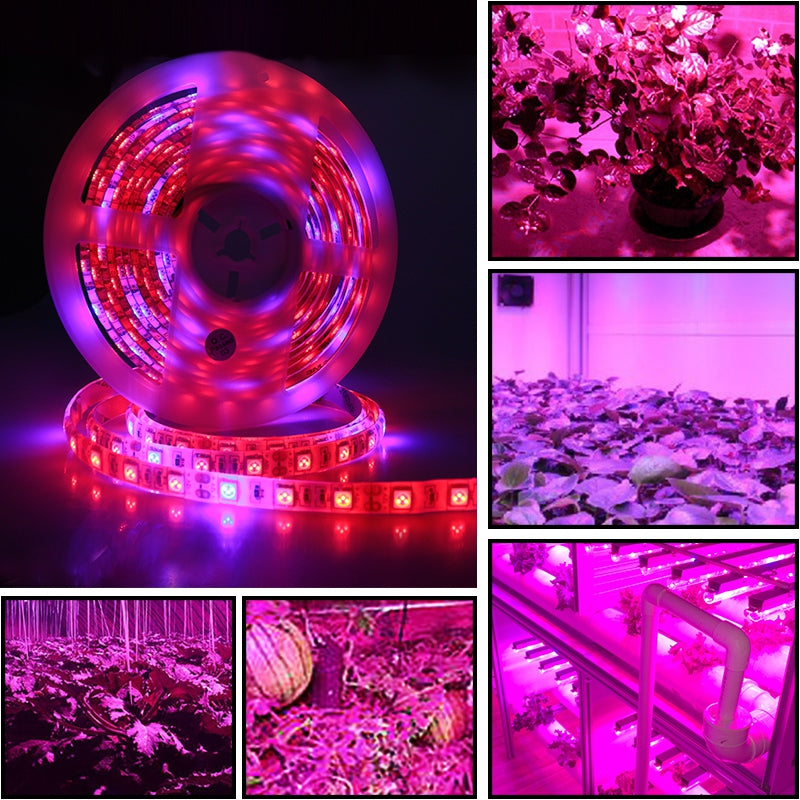 5 M LED Waterproof Full Spectrum Strip Light 300 LEDs 5050 Chip Fitolampy Grow Lights For Greenh...