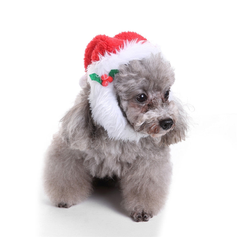 Comfort  Christmas Hat Dog Cat Costume