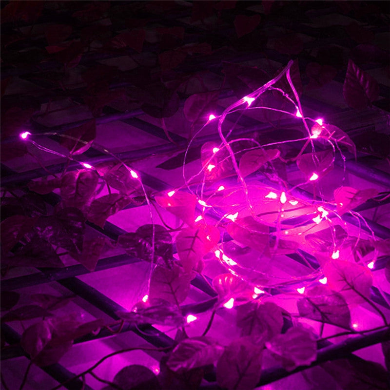 AY - hq217 2M 20 LED Copper Wire Light for Christmas Tree Decoration