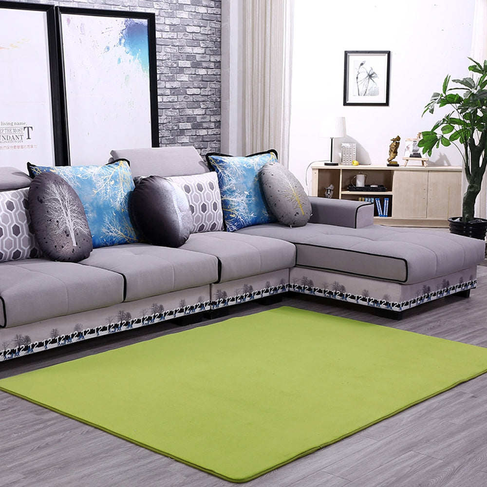 Doormat Modern Style Solid Water Proof Carpet7