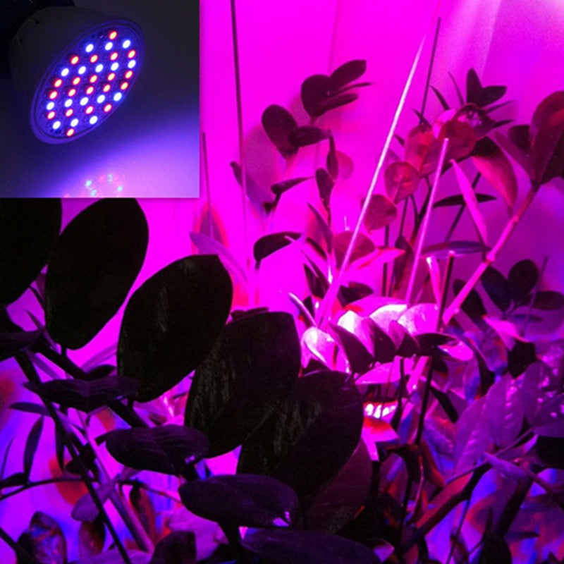 36 LED  Plant Grow Lamp