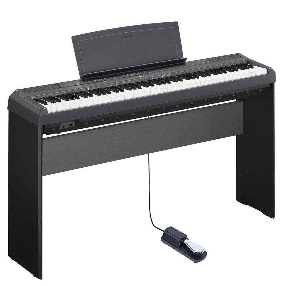 Digital Piano and Keyboard Sustain Pedal