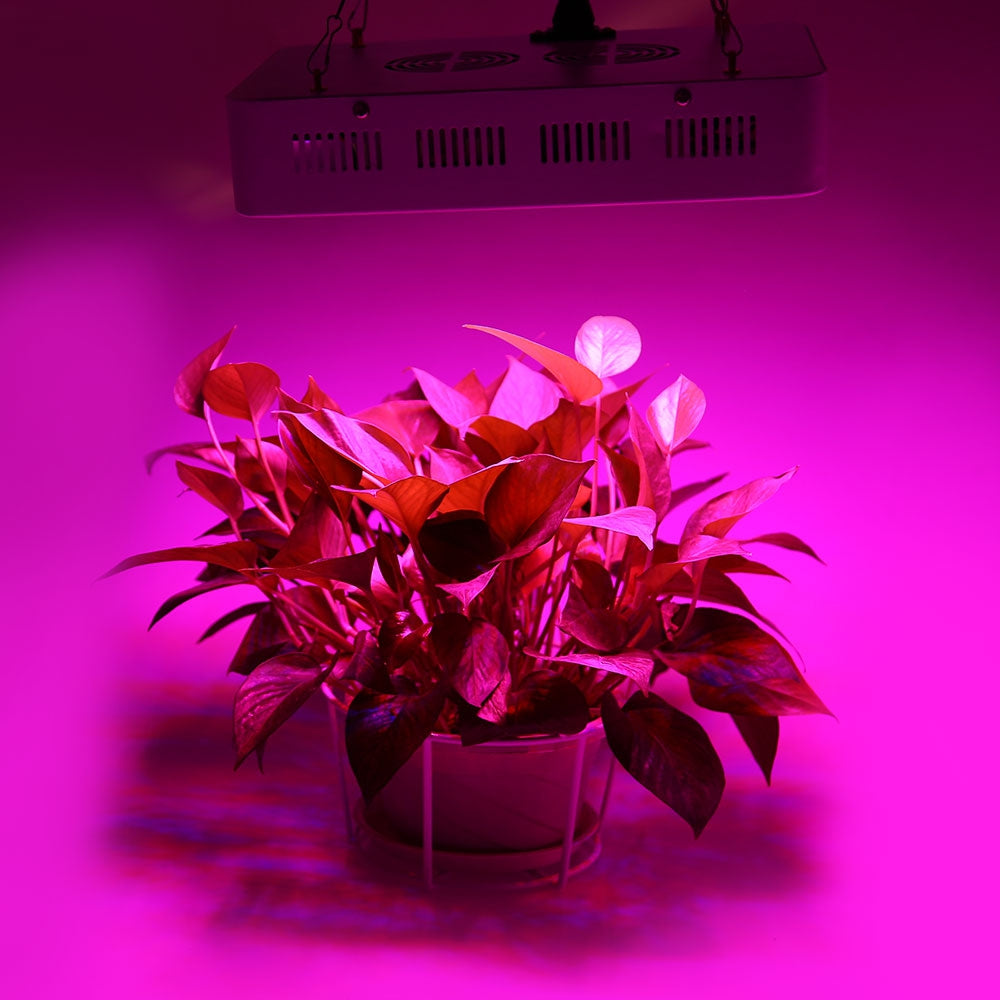 300W ( True 100W ) LED Plant Grow Light Square Shaped Panel Full Spectrum Lamp