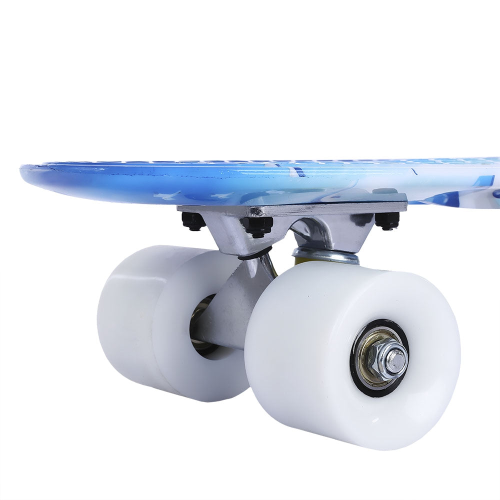 22 inch Dolphin Pattern Four-wheel Street Long Plastic Fish Skateboard
