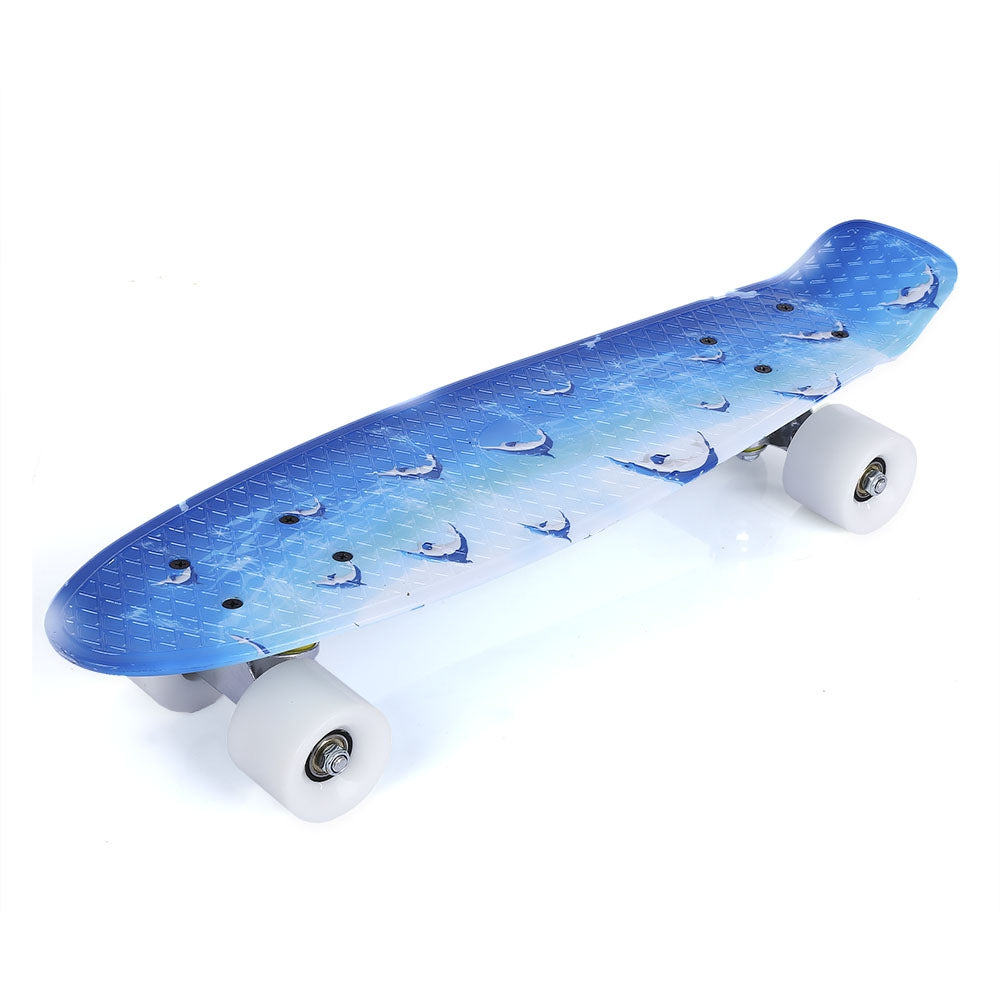 22 inch Dolphin Pattern Four-wheel Street Long Plastic Fish Skateboard