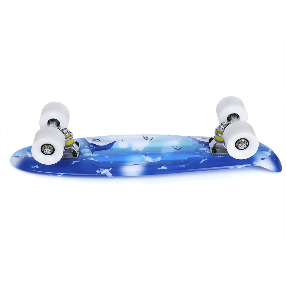 22 inch Dolphin Pattern Four-wheel Street Long Plastic Fish Skateboard