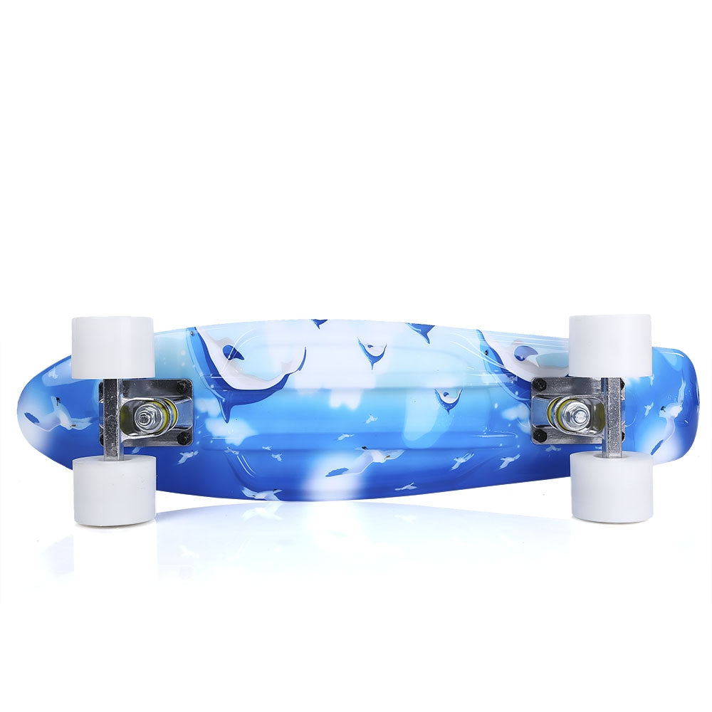 22 inch Dolphin Pattern Four-wheel Street Long Plastic Fish Skateboard